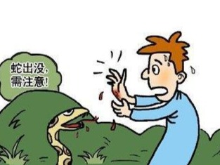 春季蛇出没，被蛇咬还用蛇药酒擦？专家提醒：应第一时间去医院