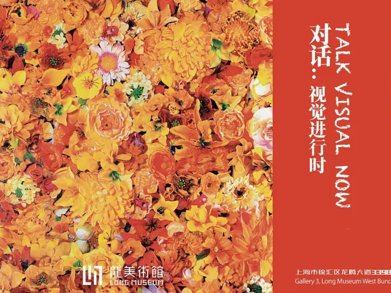 云看展｜龙美术馆线上推出“对话：视觉进行时”