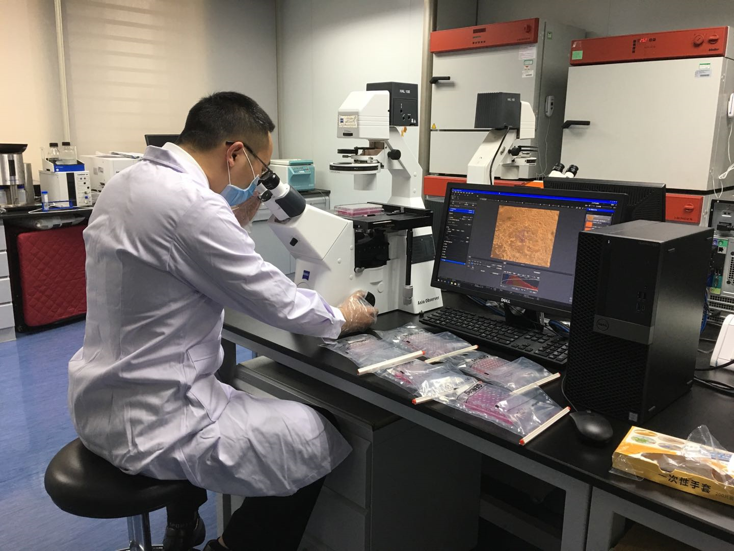 深圳关区水生动物出口恢复八成