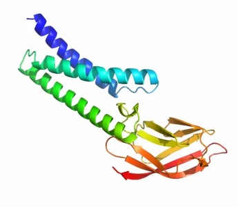 阿尔法狗团队公布6种新冠病毒蛋白质结构预测，助力疫苗研发