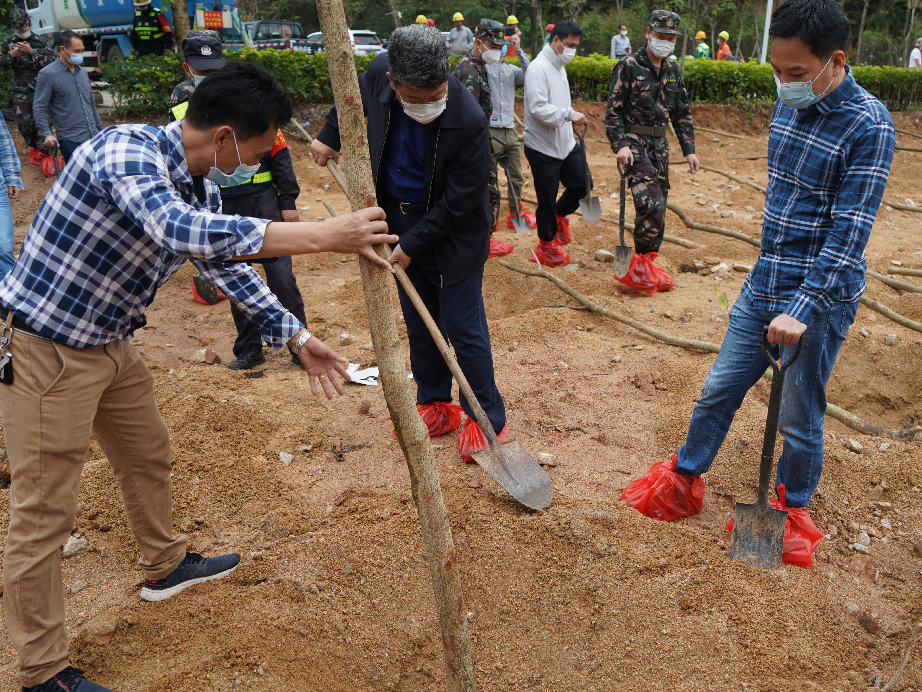 植树造林正当时！平湖街道再添绿