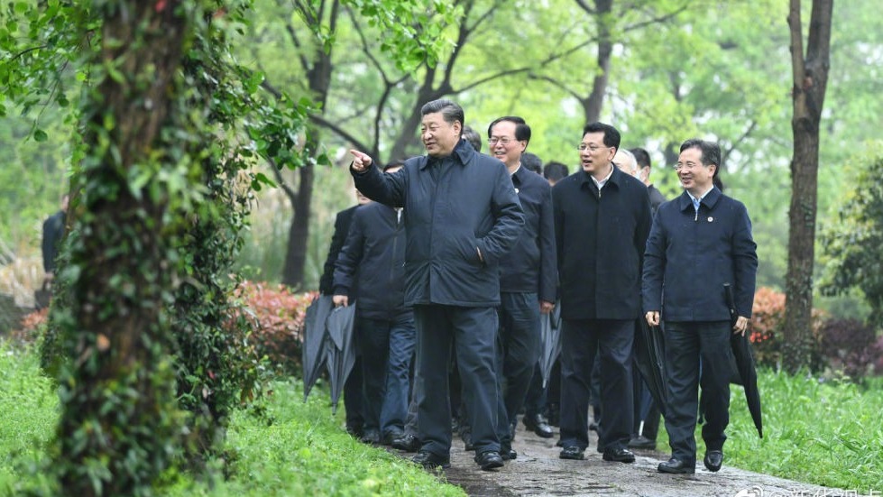 习近平考察杭州湿地保护利用和城市治理情况