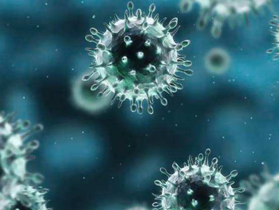 外交部：关于新冠病毒源头，需要听取科学和专业的意见