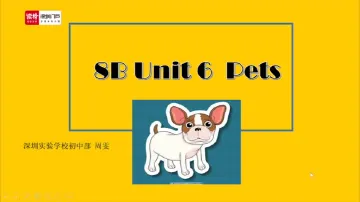 初二英语：Pets 授课讲师周雯