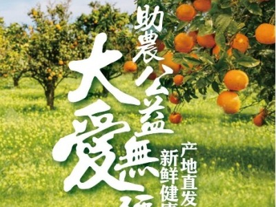 来自广西的扶贫柑橘已经到货，深圳助力广西打造“圳品”基地