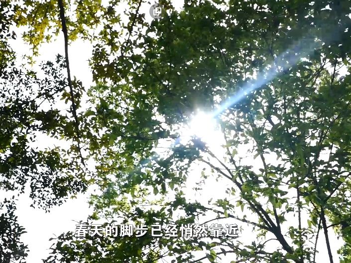 IN视频|你好，深圳，好久不见！