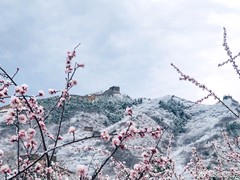 八达岭长城又降瑞雪