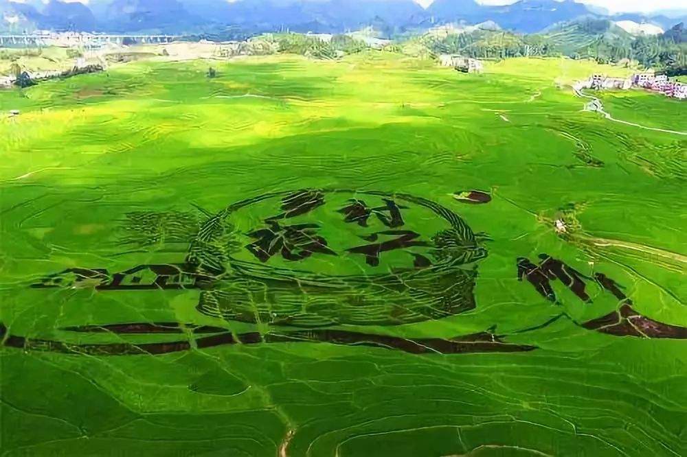 广东省委实施乡村振兴战略领导小组召开会议