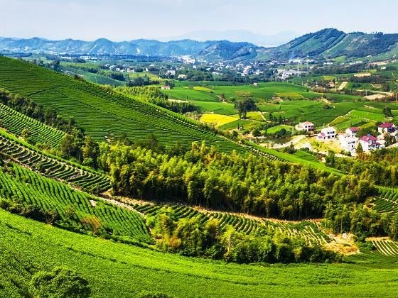习近平浙江行丨安且吉兮 15年后再到余村