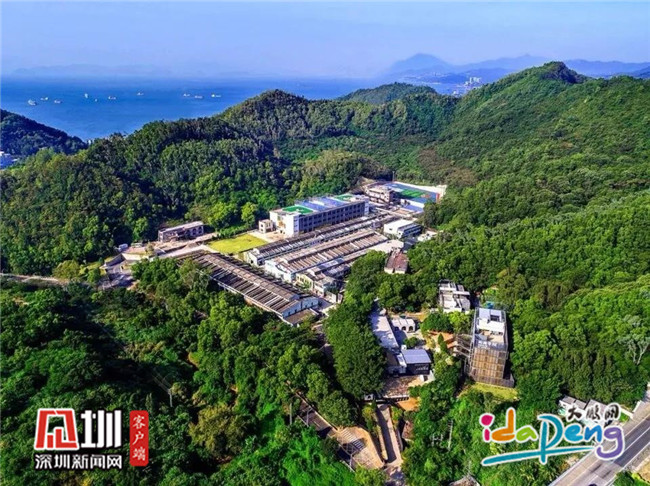 大鹏新区又一景区恢复开放！每日限预约游客300名