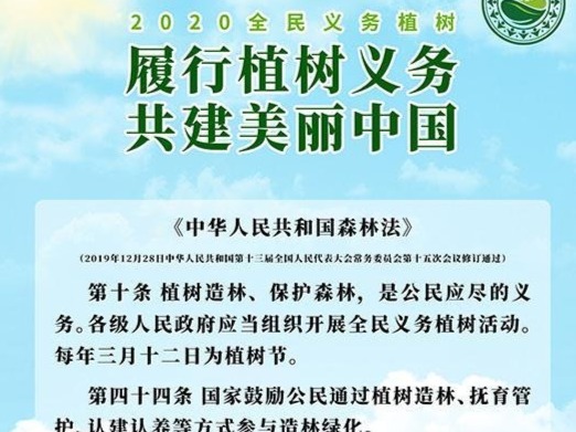 植树节开启“云植树”：播种新希望，春暖待花开  