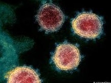 芝加哥一收容所37名儿童感染新冠病毒