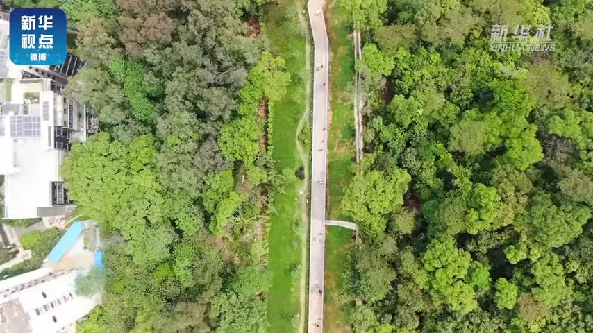 去广州首条空中步道走一走！