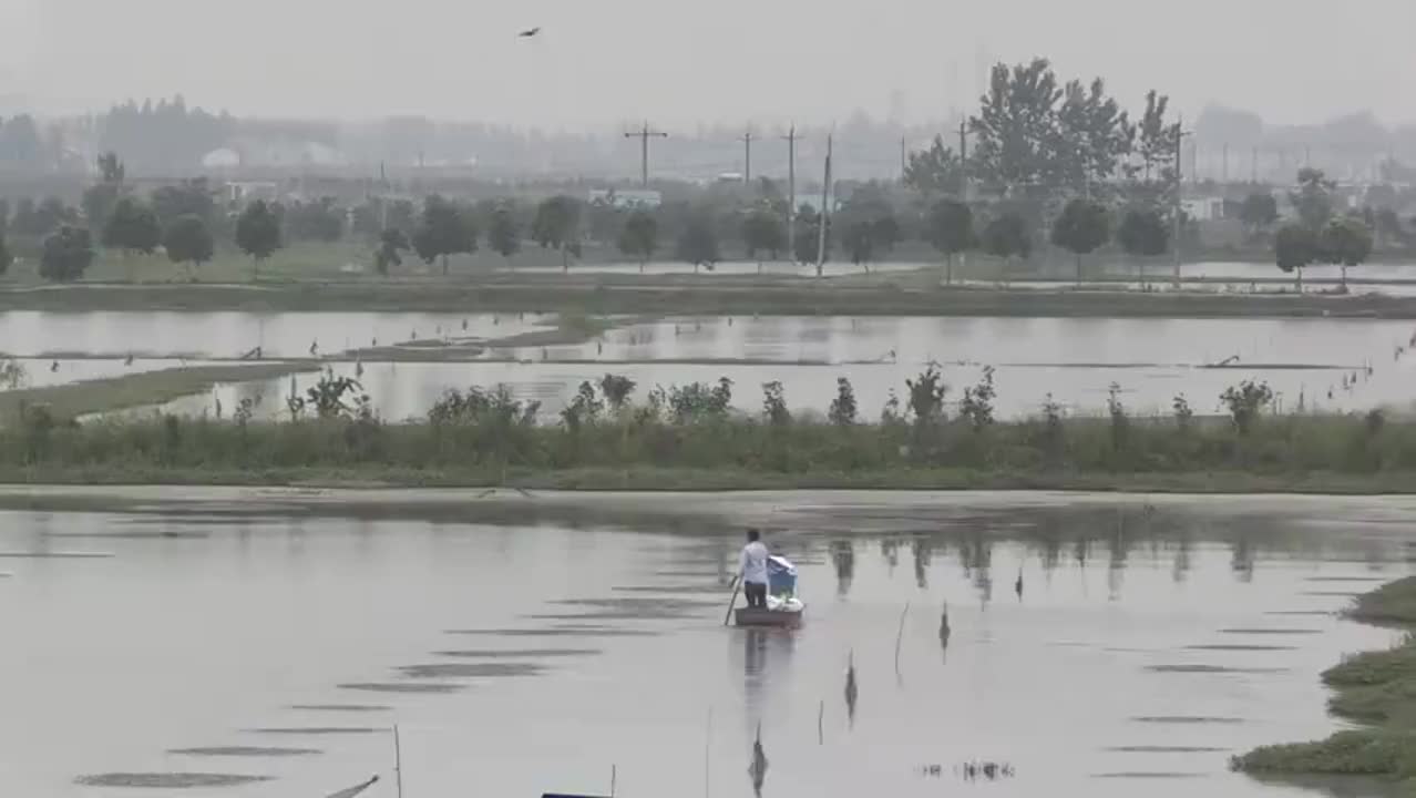 湖北小龙虾滞销严重，企业希望消除偏见