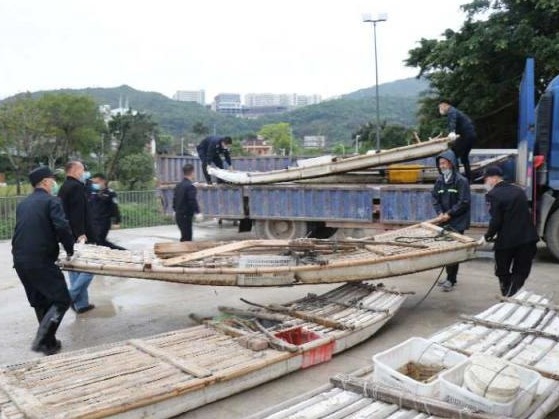 严厉打击非法捕捞！深圳依法取缔“三无”竹筏11艘