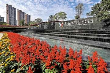 龙华区八大措施提振商贸业消费