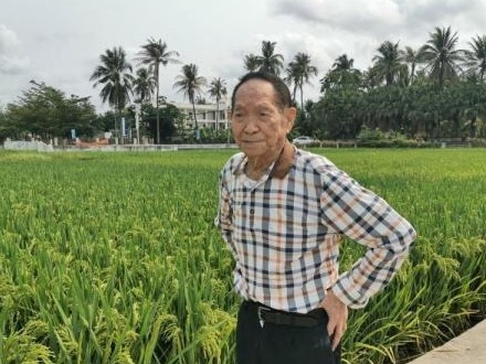 袁隆平：中国不会出现“粮荒” 完全能够自给自足