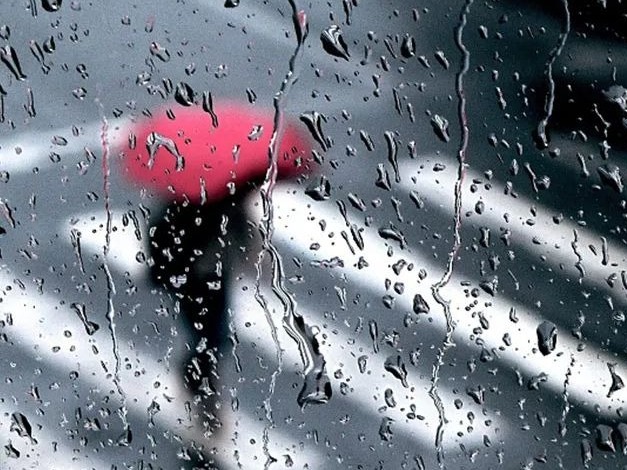 降雨不断！今年清明不扎堆，居家追思慰先人