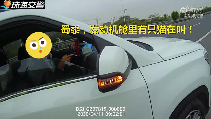 超有爱！当硬汉交警遇到小猫