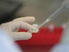 提醒！今天起，跨境货车司机从深圳口岸入境需提供这两样东西