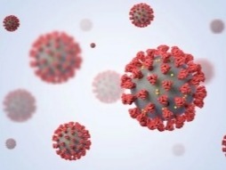 新研究：新冠病毒在粪便中留存时间最长 症状出现后22天仍可测出