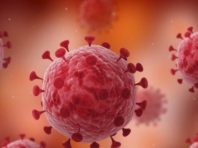 SARS康复者抗体揭露新冠病毒潜在弱点