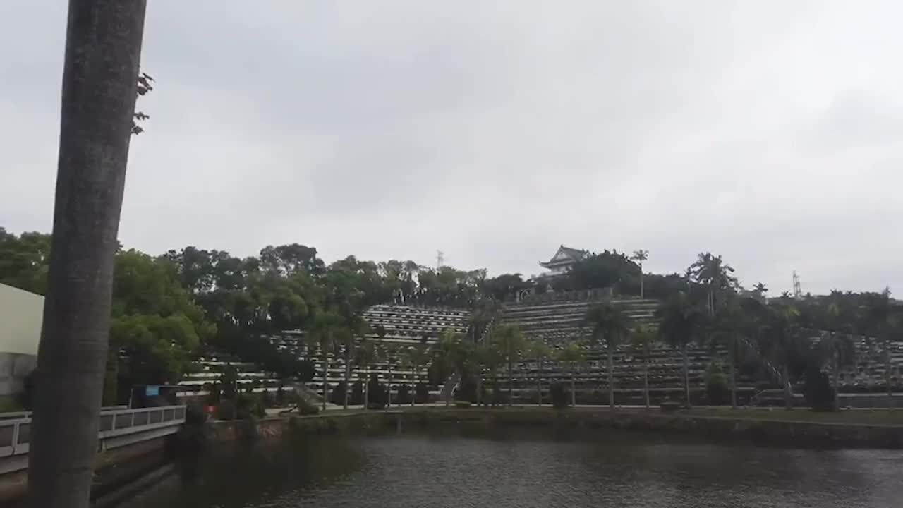 今年清明待在家 深圳向市民开放网上祭奠通道