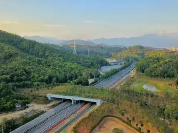 车顶上的“生态圈”！大鹏新区建成深圳首条野生动物保护“生态廊道”