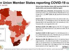 非洲49国确诊新冠肺炎超6000例