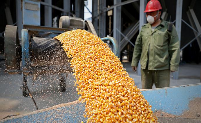 粮食安全省长责任制落实通知：确保粮油供应不脱销、不断档