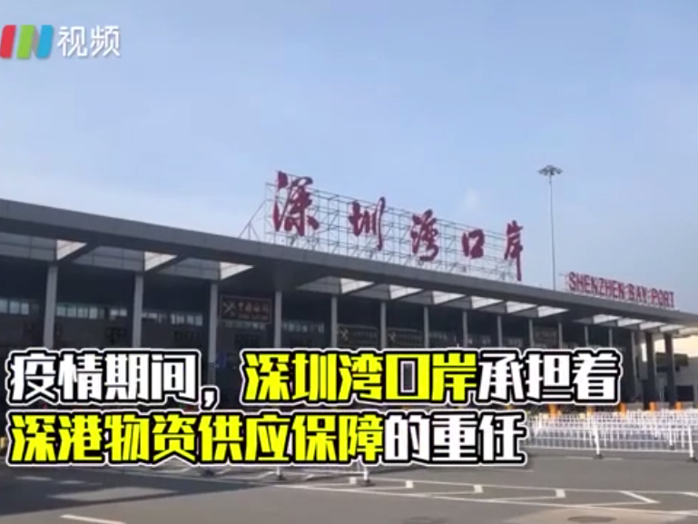 IN视频｜直击：深圳湾口岸如何保证跨境货车司机安全入境？