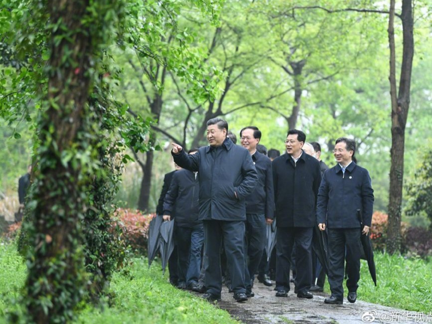 习近平：让湿地公园成为人民群众共享的绿意空间