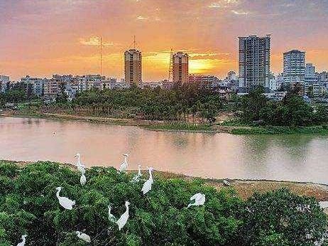 8部门单位向深圳工商界倡议：携手治污攻坚 共建美丽深圳