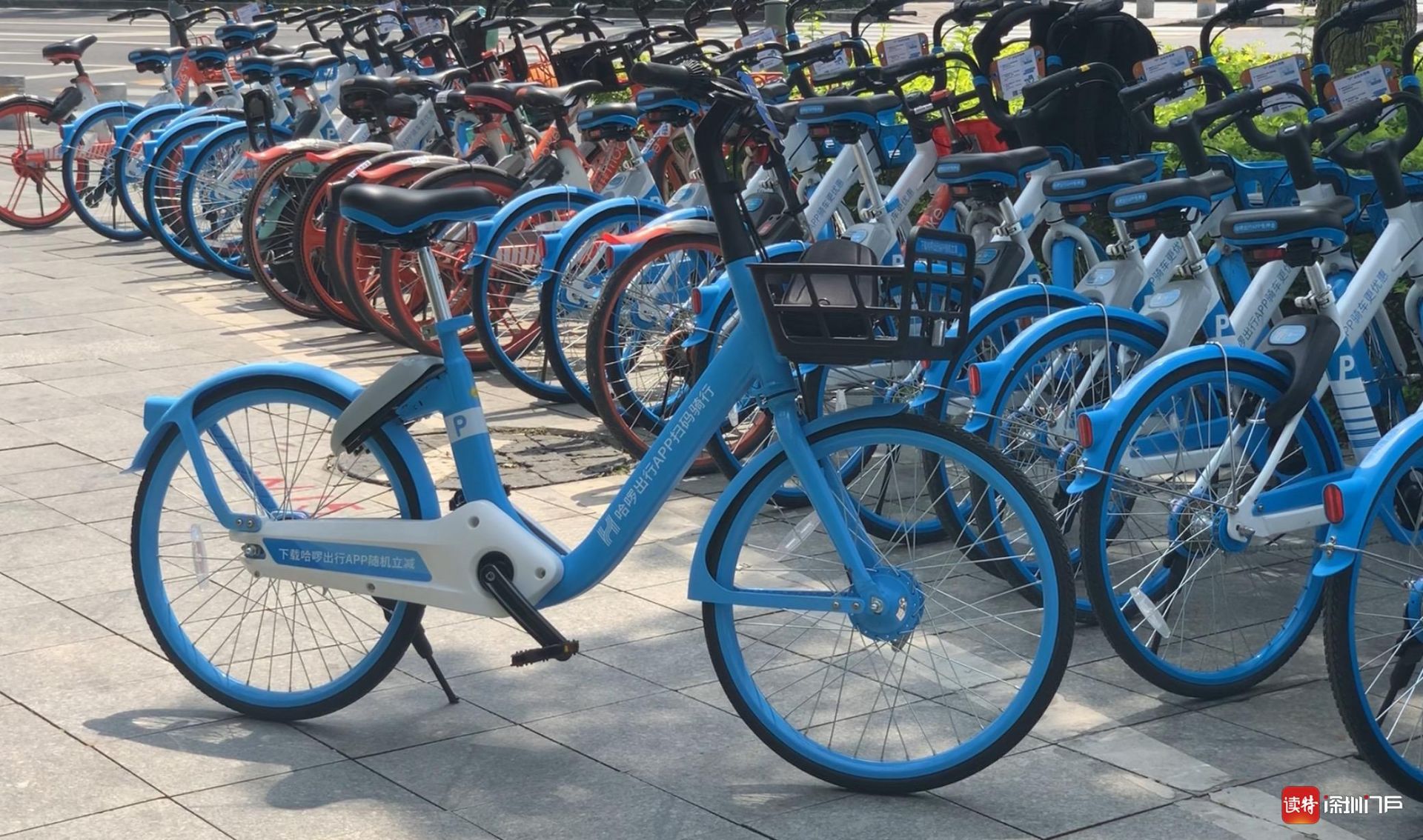 哈囉單車在深圳試點定點還車