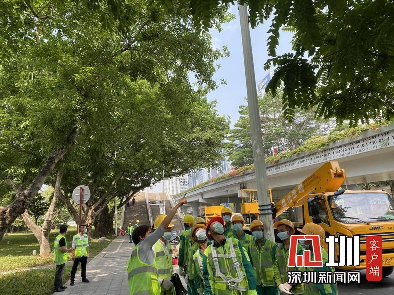 行道树“整容”不只为美观 疫情期间“城市美容师”是这样复产复工的
