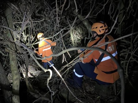 连夜救援被困游客 葵涌提醒市民目前不建议进行登山活动