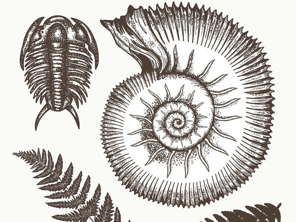 二〇一九年中国古生物学十大进展发布 破解远古地球的谜题