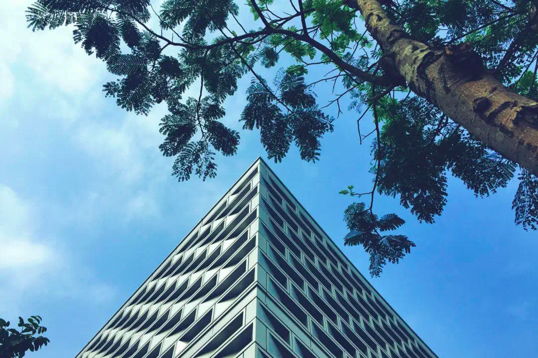 深圳又一大学官宣返校时间！致即将开学返校的你，这6件事得知道~