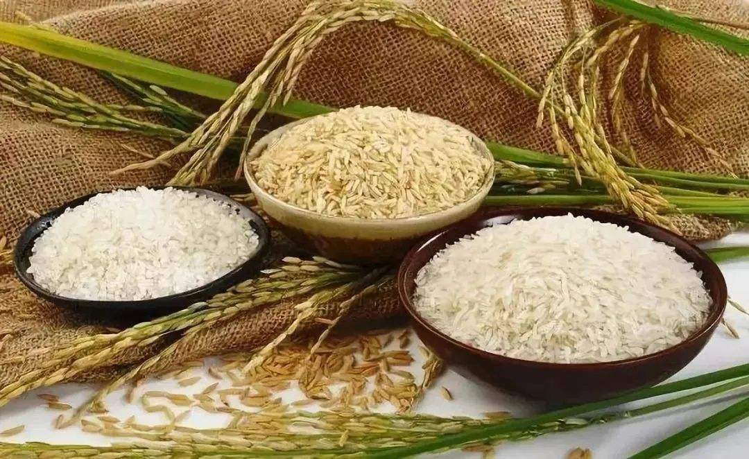 广东省粮食储备满足6个月市场需求