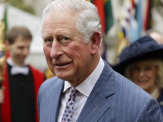 英国王储查尔斯王子为伦敦方舱医院揭幕，该院只收重症病人