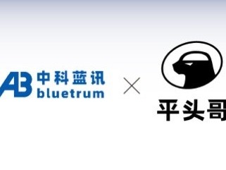阿里平头哥牵手深企中科蓝讯，共研物联网芯片