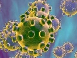 研究称腹泻是一些新冠肺炎患者的第一病症