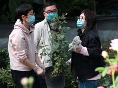 武汉：花卉市场人气渐旺