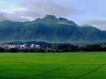 住在“景区”里 腰包鼓起来！坪山区助力汕尾陆河县发展乡村旅游