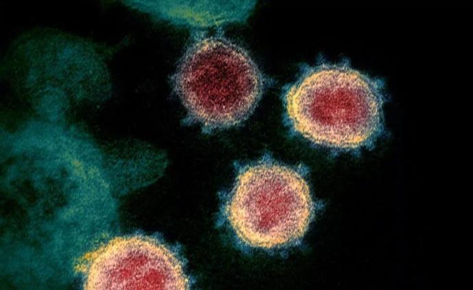 世卫组织：全球新冠肺炎确诊病例超过1.196亿例