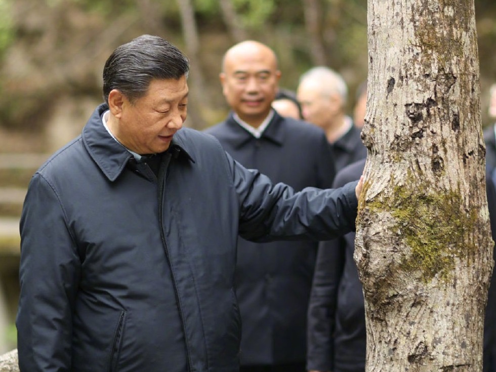 习近平：要做守护秦岭生态的卫士