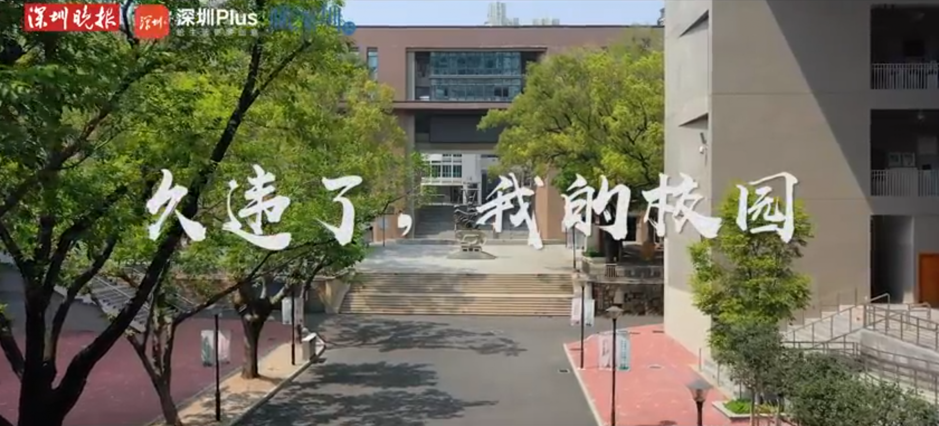 航拍|久违了，我的校园！