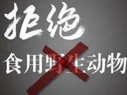 深圳版最严“禁野令”来了！“食野味”最高罚货值30倍，5月1日起实施