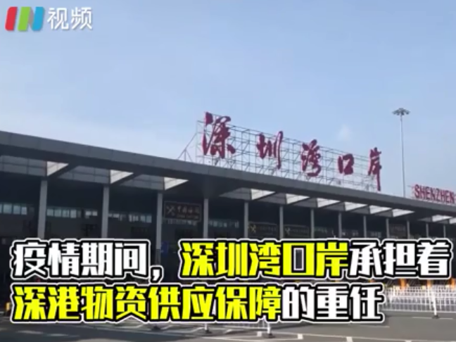 IN视频|直击：深圳湾口岸如何保证跨境货车司机安全入境？