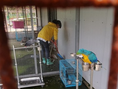 被罚没野生动物的命运困局:防止